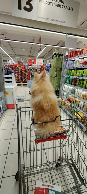 Unicoop Firenze - Le Grondaie