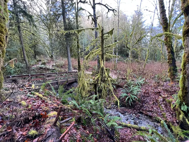 Evans Creek Preserve - Upper Parking Lot