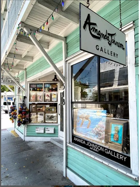 Amanda Johnson Gallery