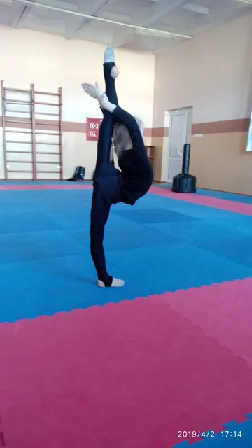 DINAMO SPORTIVNYI KOMPLEKS BFSO DINAMO RGOO BRESTSKAJA OBLASTNAJA ORGANIZACIONNAJA STRUKTURA