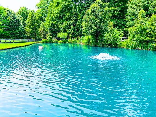 AQUA DOC Lake & Pond Management