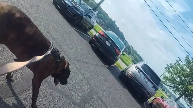 Triplett Plaza Shopping Center