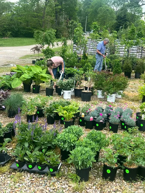 Singing Springs Nursery