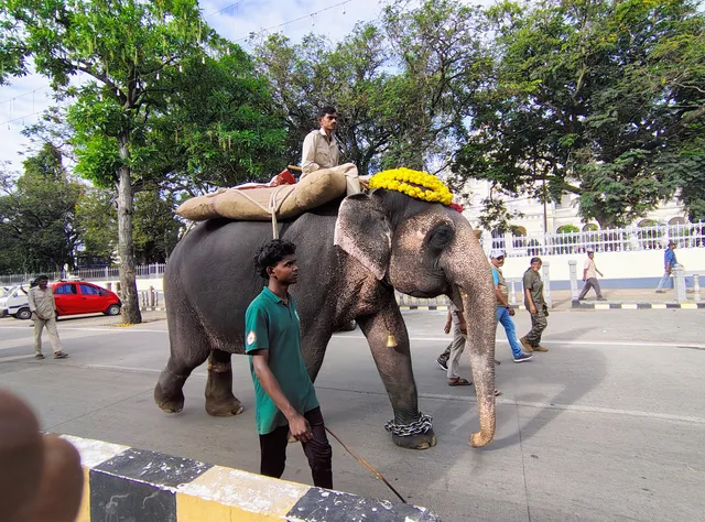 Neo Alankar Bar & Restaurant Pub