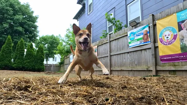 Speed Weenies on Howell