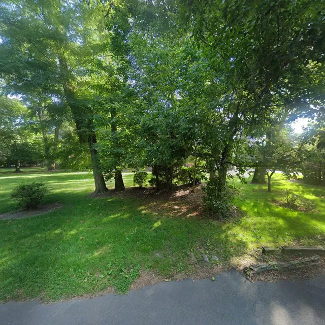 Tower Dogs Food Truck