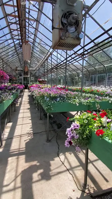 Hillcrest Farms & Greenhouse