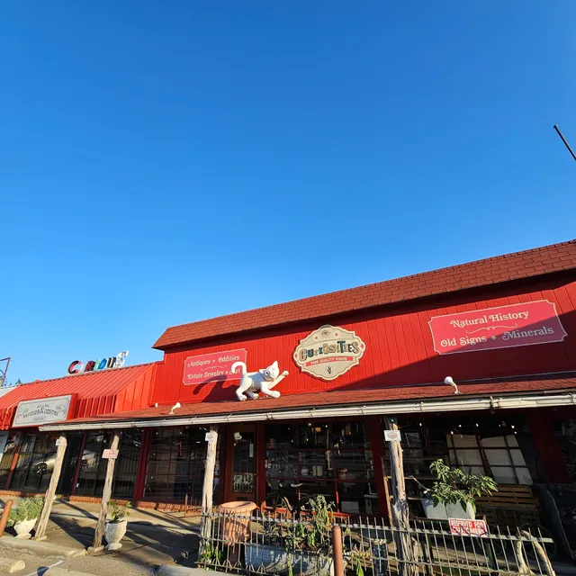 Curiosities Antiques