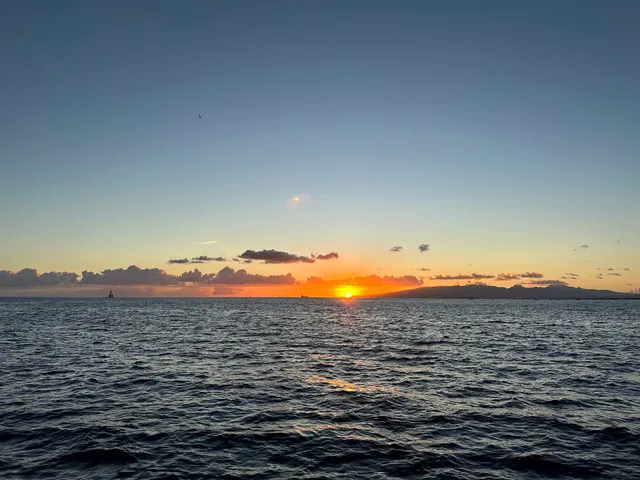 Above the Stars Cruise