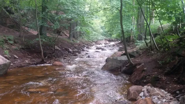 Ferienhäuser am Brocken