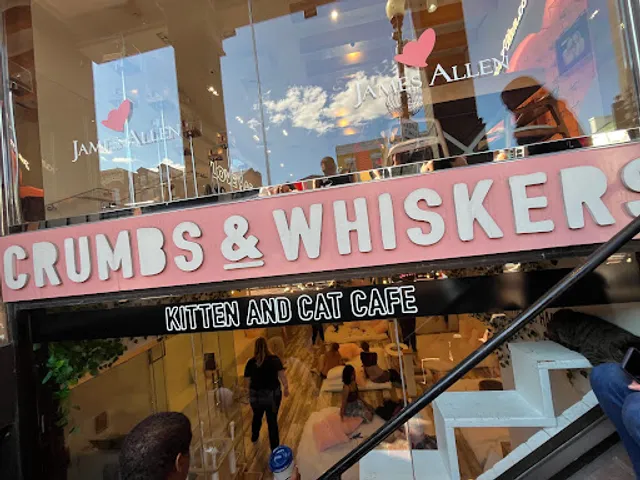 Crumbs & Whiskers | Kitten & Cat Cafe.