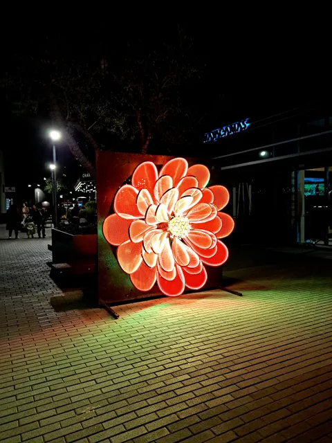 Napa Lighted Art Festival in January