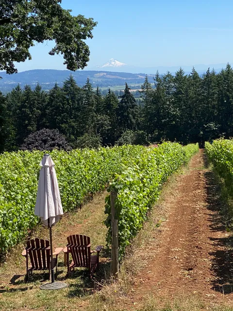 Durant Vineyards Winery