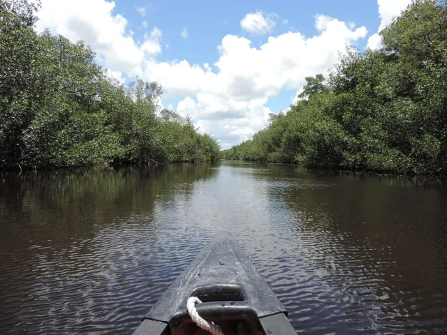 Everglades Florida Adventures