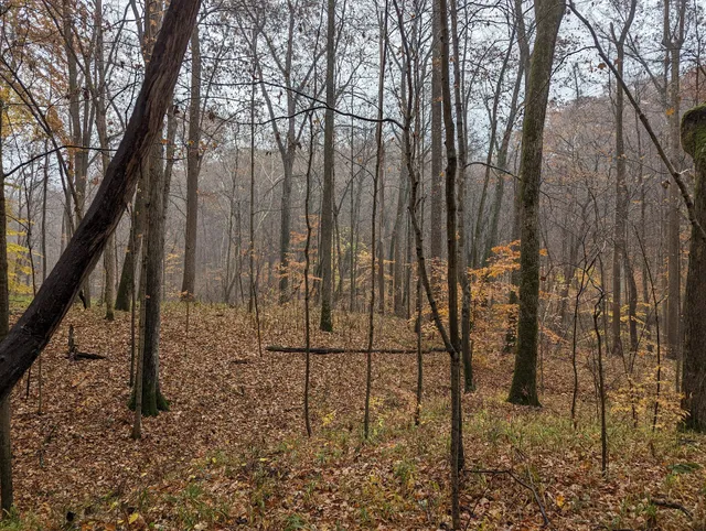 Big Oaks National Wildlife Refuge