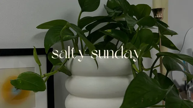 Salty Sunday