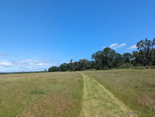 Oak Island Nature Trail trailhead