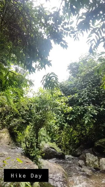 place image