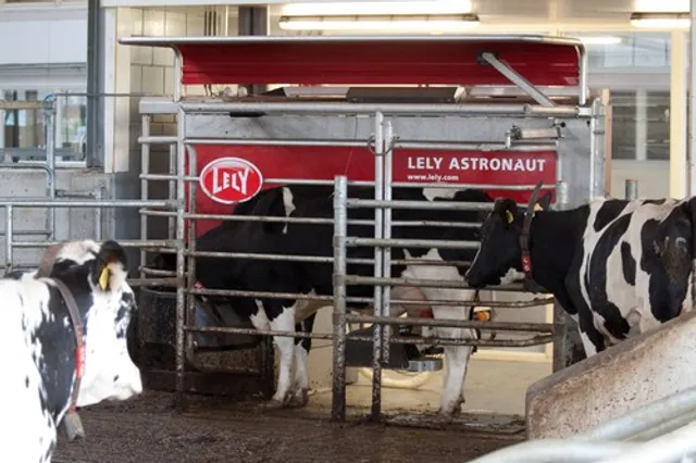 Lunchroom Boerderij Het Lansingerland