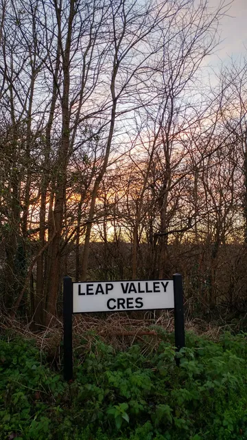 Leap Valley