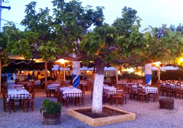 Margomenos - Akrogyali