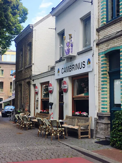 Cambrinus