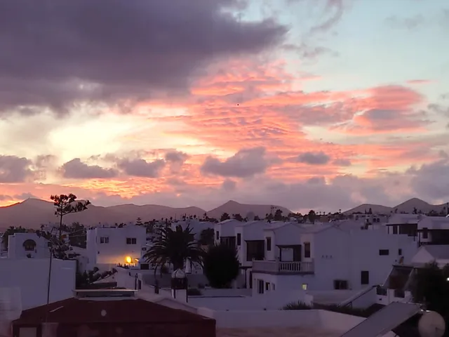 Apartamentos Las Palmeras 3