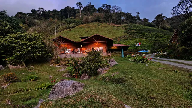 Boquete Tree Trek Adventure Park