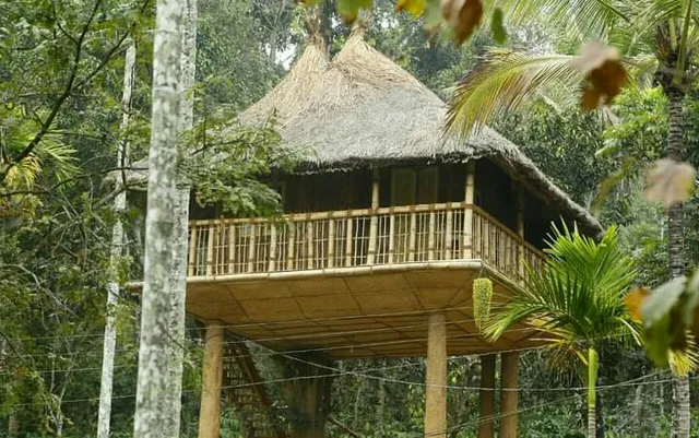 Kalidasa Tree House and villa, Wayanad