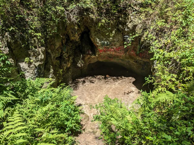 Withlacoochee State Forest