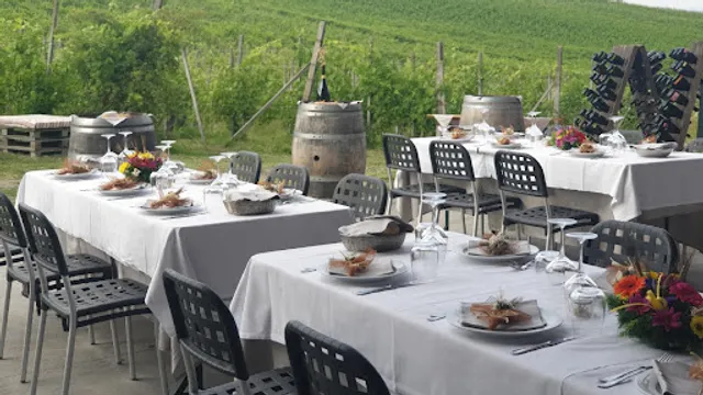 Agriturismo Podere Montefiore