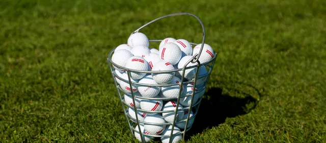 Bruce's Mill Driving Range