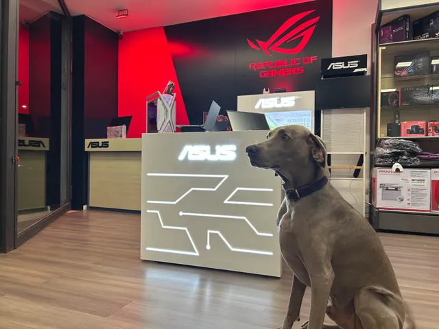 ASUS Point - Computer Multimedia System di Seggi Davide