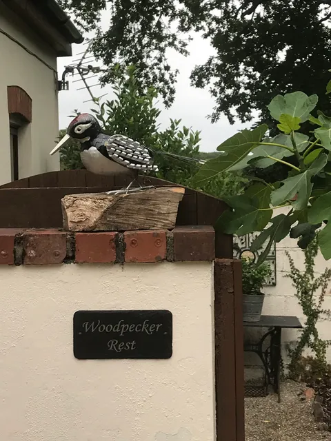 Woodpecker Rest