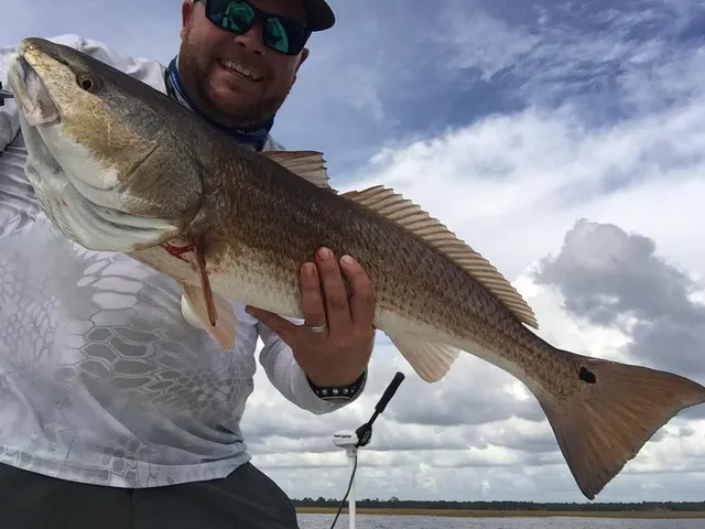 Steinhatchee Fishing pier