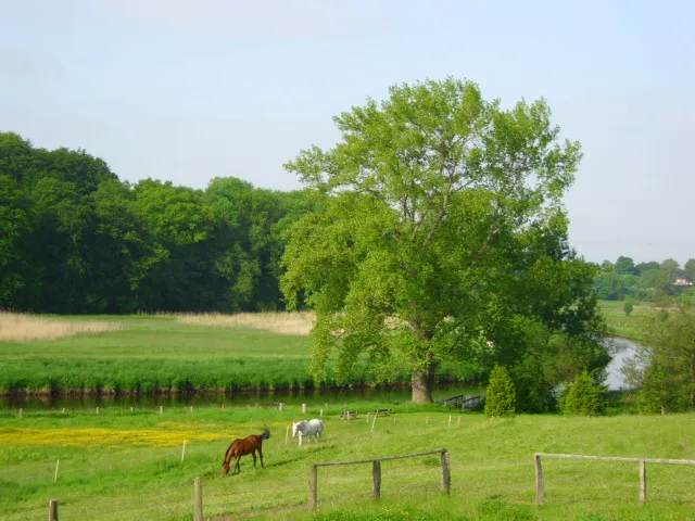 Ferienwohnung- und Haus Traveblick