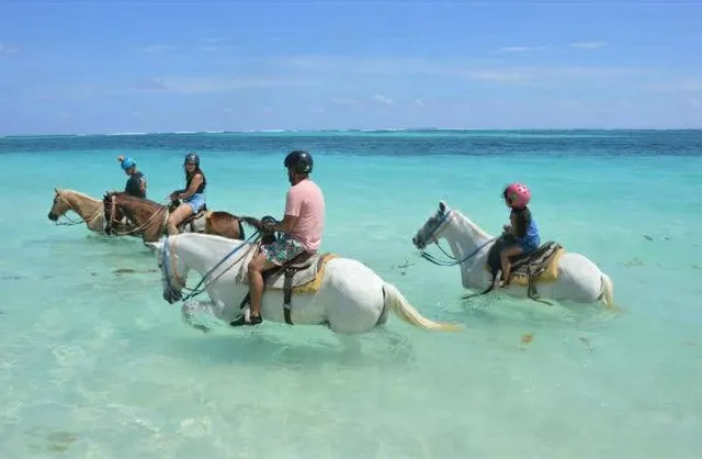 Adventures Land Horseback Riding / Caballos República Dominicana - Bávaro, Punta Cana