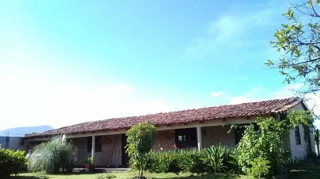 Palenque 5 Estrellas