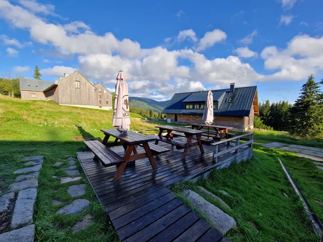 Lesní samobslužný bar