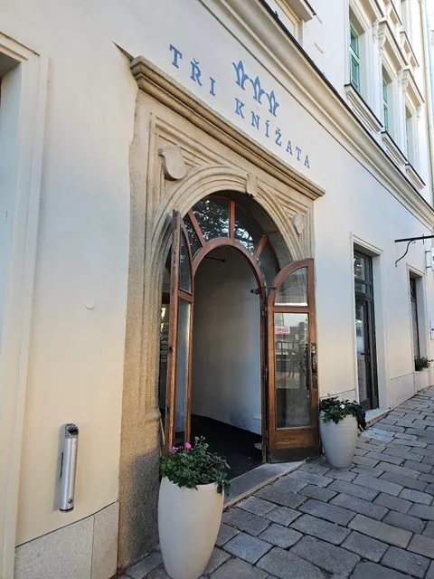 HOTEL TŘI KNÍŽATA