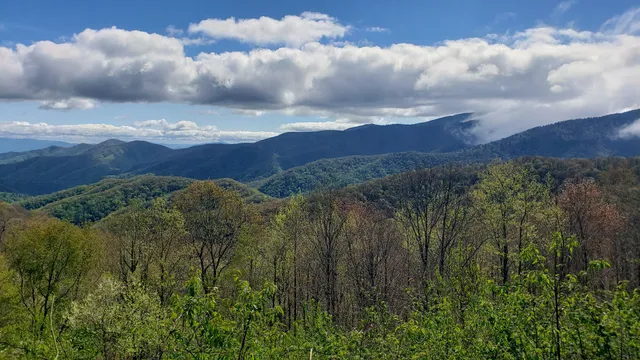 Charles A Webb Overlook