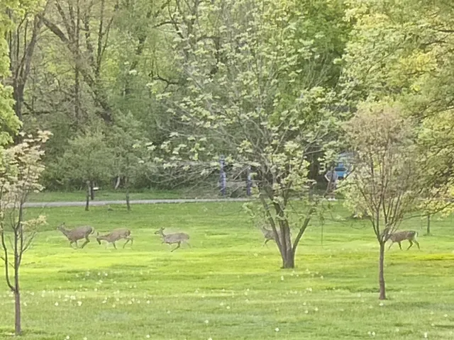 Performing Arts Center