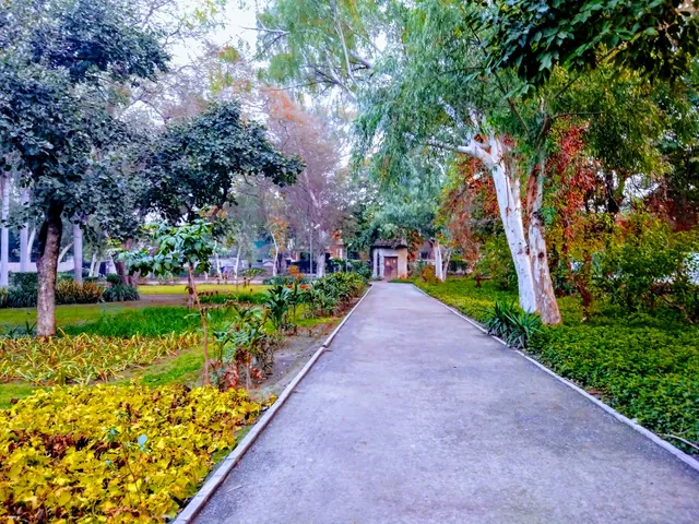 Ayubia Park