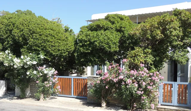 Andros Levante studios