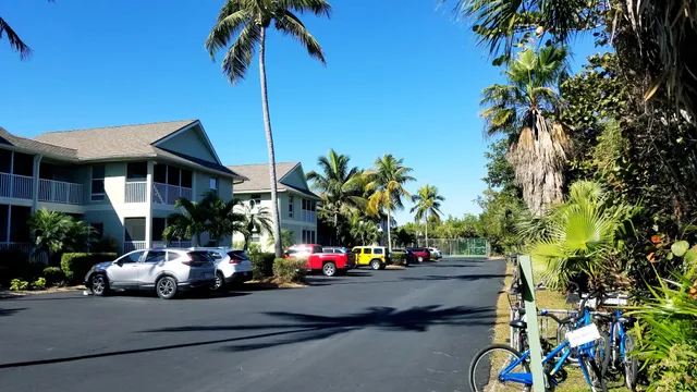 The SeaShells Of Sanibel