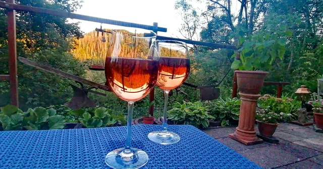 Ferienwohnung Willems - Chalet Wiedfluh