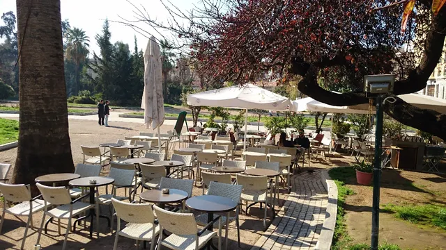 O Κήπος του Μουσείου