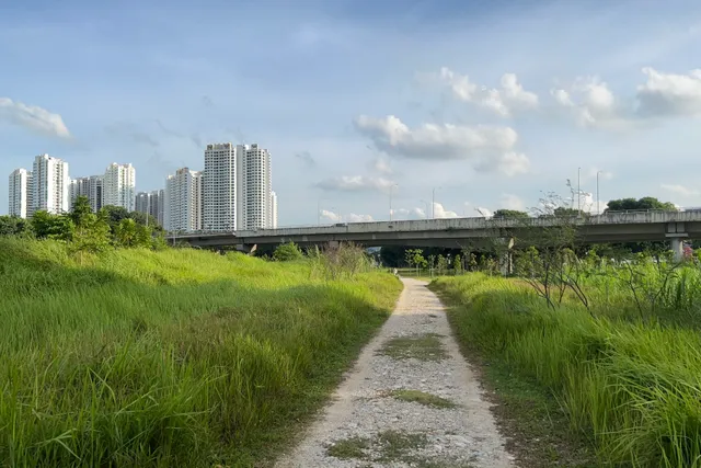 Rail Corridor (Villa Verde Stretch)
