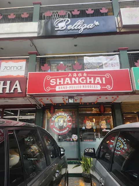 Shanghai Hand Pulled Noodles (上海拉面）