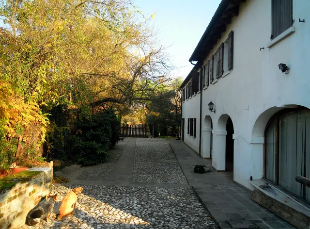 B&B Mulino Orso Bianco